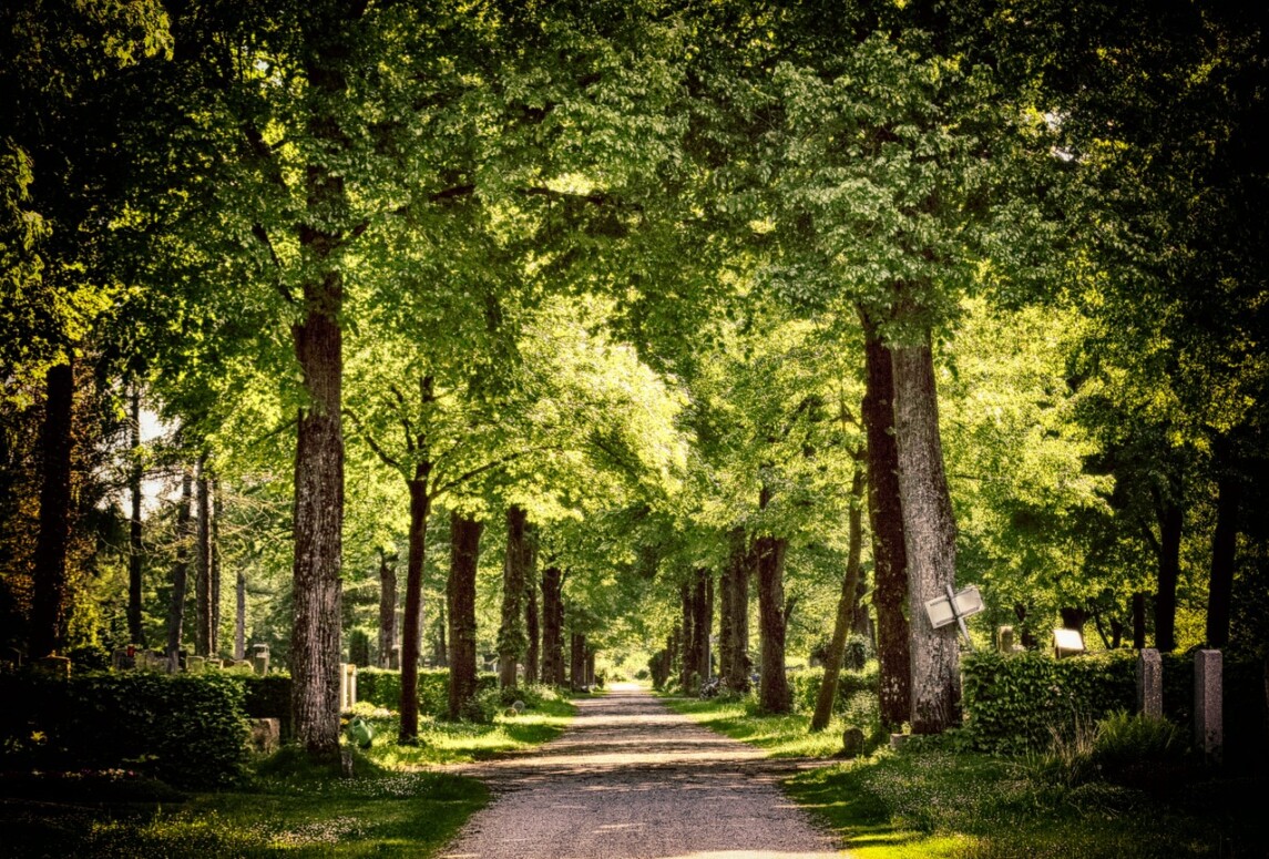 Hier schreibt Hans Teterra Ruhiger Ort um kreativ zu schreiben.
